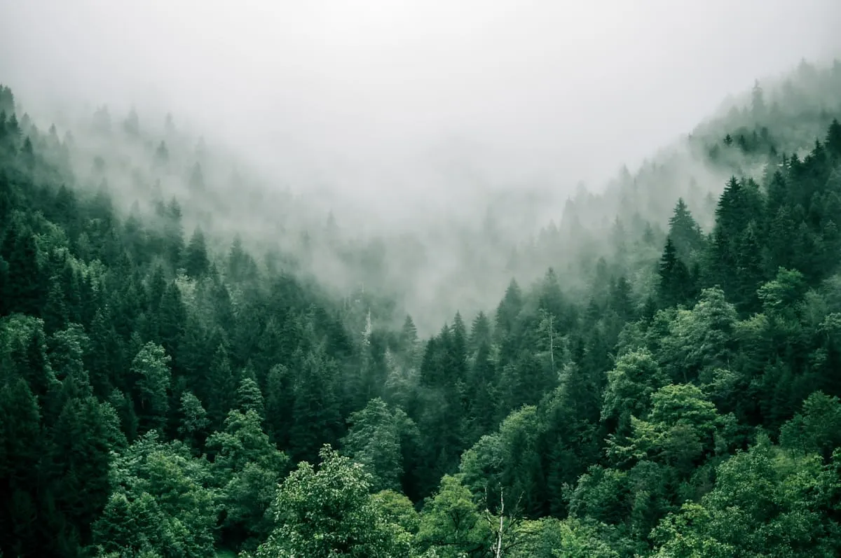 Hegyi panoráma a vizuális projektek galériájában